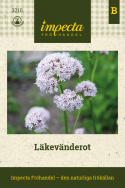 Läkekorzeń, Imponująca roślina lecznicza do ziołowego ogródka, duże jasnoróżowe baldachogrona