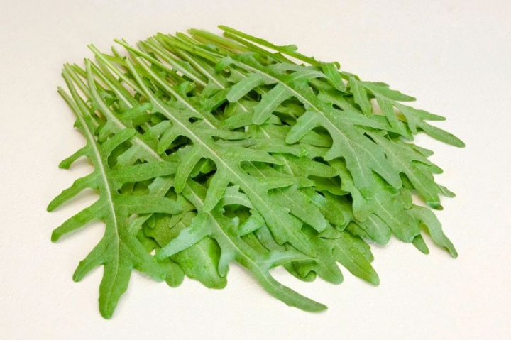 Włoska rukola, drobno karbowane liście w gęstych rozetach. Intensywny i pieprzny smak