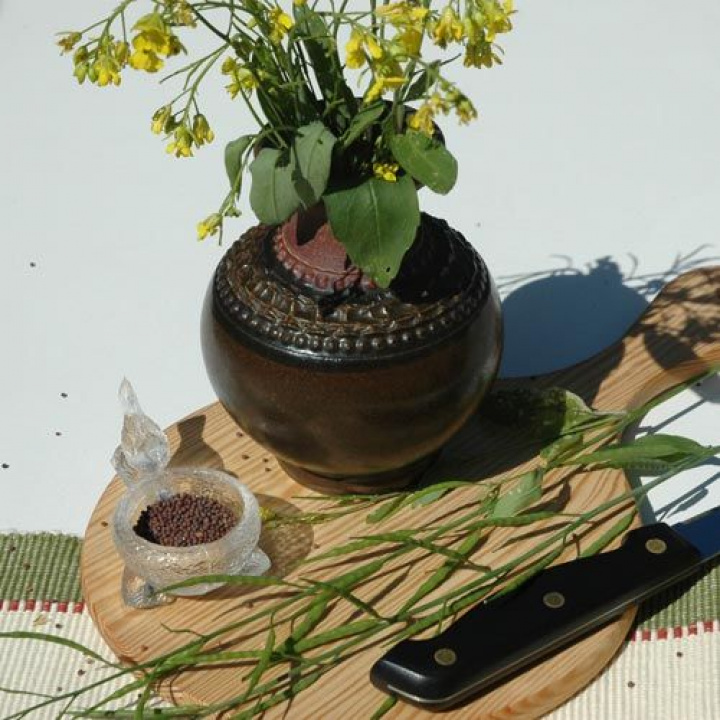 Czarna gorczyca, małe, krótkie strąki nasion. Czarne nasiona używane jako przyprawa.