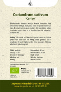 Kolendra 'Caribe' Azjatycka przyprawa ziołowa o aromatycznych, drobno klapowanych, zielonych liściach