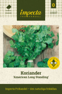 Kolendra 'American Long Standing', chińska pietruszka. Wysoko rosnąca kolendra o drobno powcinanych, aromatycznych liściach.