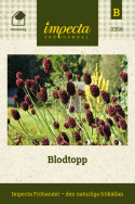 Blodtopp, delikatne łodygi z gęstymi, owalnymi, wzniesionymi kłosami ciemnoczerwonych, drobnych kwiatów.