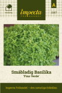 Mała bazylia Fino Verde, odmiana o małych liściach. Słodki, pikantny, korzenny smak.