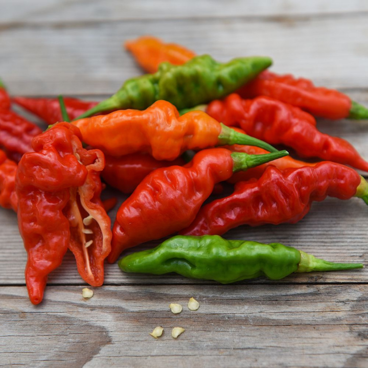 Papryka habanero 'Fruity Vulcano' Czerwona i zielona chili o pomarszczonym wyglądzie