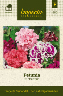 Petunia F1 Fanfar, duże, kuliste, podwójne kwiaty. Mieszanka wielokolorowa.