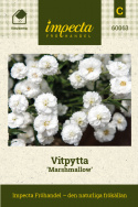 Vitpytta ''''Pianka marshmallow''''