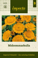 Midsommarkulla, Pomarańczowo-żółte kwiaty margerytki i jasnozielone, delikatnie pierzaste liście.