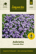 Aubrietia 'Cascade Blue', duże, gęste kępy. Kwiaty są duże i intensywnie niebieskie