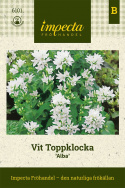 Biała Dzwonkowata 'Alba', niska i gęsta, biało kwitnąca odmiana. Doskonała na tereny pagórkowate