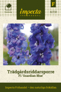 Ostrożeń ogrodowy F1 'Guardian Blue', wysokie, gęste niebieskie kwiatostany, biały środek