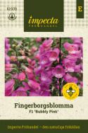 Naparstnica F1 'Bubbly Pink', Kwitnie pierwszego roku przy wczesnym wysiewie. Dobrze rozgałęziony pokrój, nadaje się do rabaty, doniczki i cięcia.
