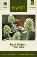 Rosyjski Martorn 'White Glitter', srebrzysty połysk, białe kwiaty z kolczastymi podsadkami