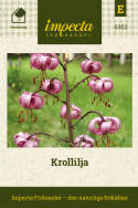 Krollilja, wysokie, mocne łodygi z kilkoma mahoniowoczerwonymi dzwonkami lilijki na każdej