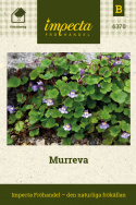 Murreva, orchideowate kwiaty z liliowo-różowymi płatkami i żółtym gardzielą. Liście w kształcie nerki.