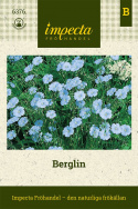 Berglin, niebieskie kwiaty z żółtym środkiem. Obficie kwitnący. Niebiesko-zielone, igiełkowate liście