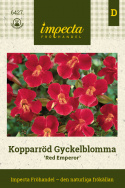 Miedziano-czerwona Męczennica 'Red Emperor', Jasnoczerwone trąbkowate kwiaty