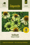 Jeżówka 'Alan's Pride', limonkowozielone kwiaty w różnych odcieniach z dużym, stożkowatym, ciemno limonkowozielonym do złocistożółtego środkiem.