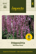 Szałwia łąkowa 'Merleau Rose', purpurowo-różowe kwiatostany na zwartym pędzie. Obficie kwitnąca.