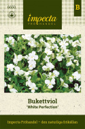 Bukietówka 'White Perfection', całkowicie biała. Szczególnie duże kwiaty.