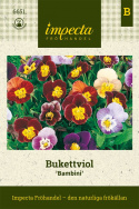Bukietowa fiołek 'Bambini', duże kwiaty w kolorach różowym, morelowym, żółtym, niebieskim, miedzianym, czerwonym