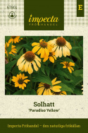 Jeżówka ''''Paradiso Yellow''''