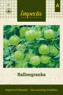 Baldrjan balonowy, roślina pnąca z białymi kwiatami i żółtozielonymi balonowatymi osłonkami kwiatowymi