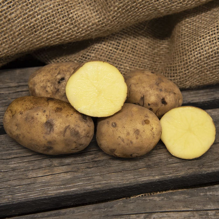 Ziemniaki sadzeniowe ''''Maria'''', Okrągłe bulwy z żółtą skórką i jasnożółtym miąższem.