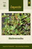 Veronika strumieniowa, Głęboko niebieskie kwiaty w luźnych, prostych gronach i mięsiste liście