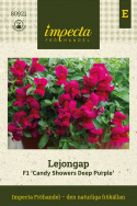 Lejongap F1 'Candy Showers Deep Purple', Intensywnie purpurowe kwiaty z małym, żółtym gardłem.
