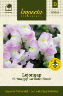 Lejongap F1 'Snappy Lavender Blush', Białe kwiaty z różowym odcieniem.