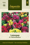 Lejongap F1 'Floral Showers', mieszanka wielokolorowa. Bardzo niski, zwarty pokrój.