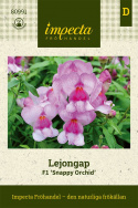 Lejongap F1 'Snappy Orchid', jasnoróżowe, cieniowane kwiaty z czerwonym gardłem.