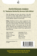 Lejongap F1 'Madame Butterfly Bronze with White', delikatne odcienie koralowego różu z białą szyjką.