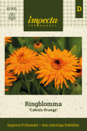 Ringelblume 'Calexis Orange', kwitnąca jak kaktus Ringelblume w jaskrawym pomarańczowym kolorze.