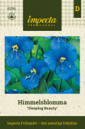 Himmelsblomma 'Sleeping Beauty', Mnóstwo kwiatów w intensywnym niebieskim odcieniu.