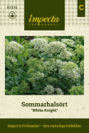 Summer savory ''''White Knight''''