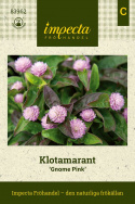 Kula amarantus ''Gnome Pink''