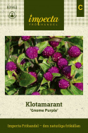 Klotamarant ''''Gnome Purple''''