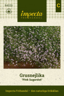 Grusnejlika ''''Pink Sugardot''''. Eleganckie chmury uroczych, gwiazdkowatych kwiatuszków