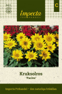 Słonecznik doniczkowy 'Pacino', pojedyncze, jasnożółte, mniejsze kwiaty. Rośliny wielogałęziste.