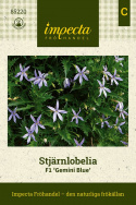 Stjärnlobelia F1 ''Gemini Blue''. Poduszkowate kępy z niebieskimi gwiaździstymi kwiatami.