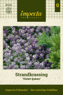 Strandkrassing 'Violet Queen', pachnący, fiołkowo-niebieskie kwiaty. Tworzy kobierce.