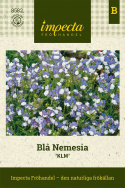 Niebieska Nemesia 'KLM', zwarte krzewy, kwiaty wargowe, dwukolorowe na niebiesko i biało