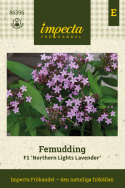 Femudding F1 'Northern Lights Lavender' małe fioletowe gęsto rosnące kwiaty