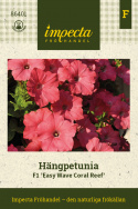 Petunia zwisająca F1 'Easy Coral Reef', intensywnie obficie kwitnąca z dużymi kwiatami