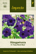 Petunia zwisająca F1 'Easy Wave Blue', intensywnie obficie kwitnąca z dużymi kwiatami