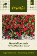 Rondellpetunia F1 'Tidal Red Velour', aksamitnoczerwone kwiaty z ciemnym gardzielą.