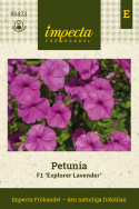 Petunia F1 ''''Explorer Lavender''''. Błyszcząca, intensywnie lawendowofioletowa, duże b