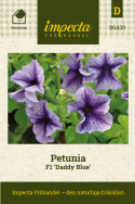 Petunia F1 'Daddy Blue', lawendowoniebieskie kwiaty z srebrzystym odcieniem i purpurowoniebieskim żyłkowaniem.