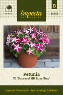 Petunia F1 'Success! HD Rose Star', mnóstwo różowych kwiatów z białą gwiazdą.